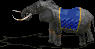 Elephant.bmp (5782 bytes)