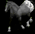 Horse.bmp (3678 bytes)